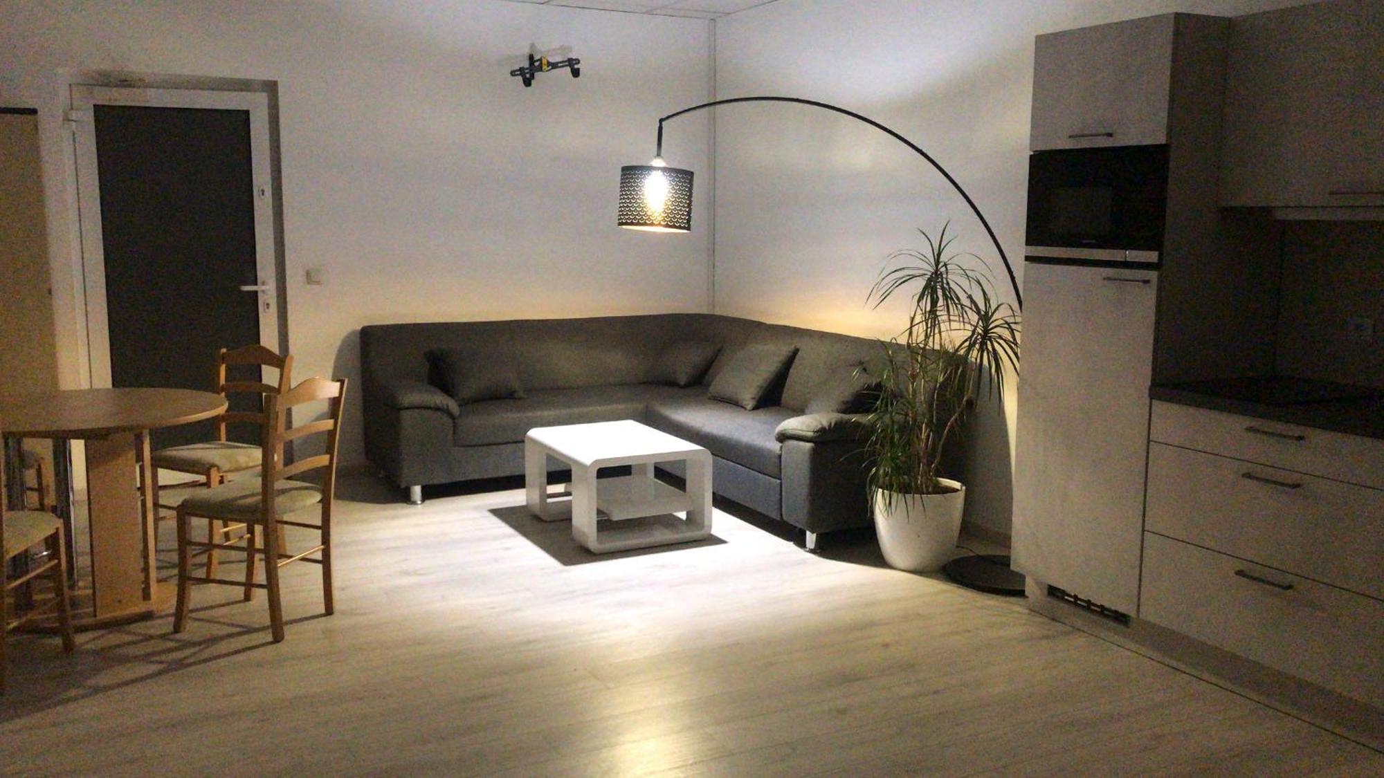 Grosse & Voll Ausgestattete Apartments, Studios, Doppelzimmer, Workspace, Parkplatz, Netflix, Prime & Schnelles Wifi In Ruhiger Lage Mit Garten Rudolstadt Exterior photo
